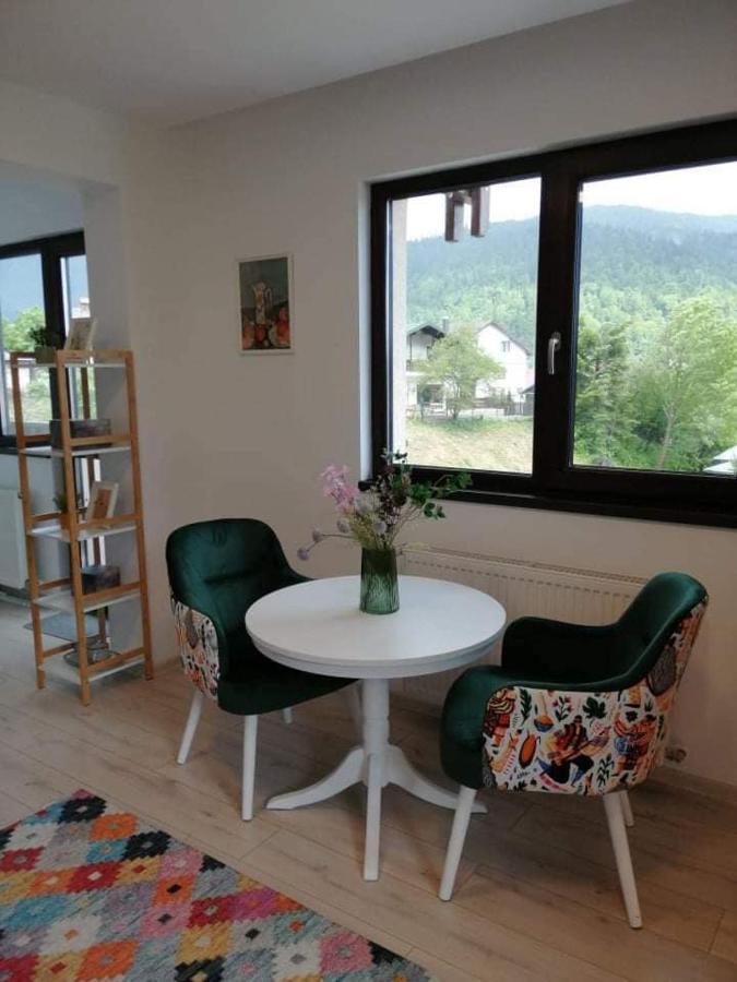 Belcara Apartment Buşteni Extérieur photo