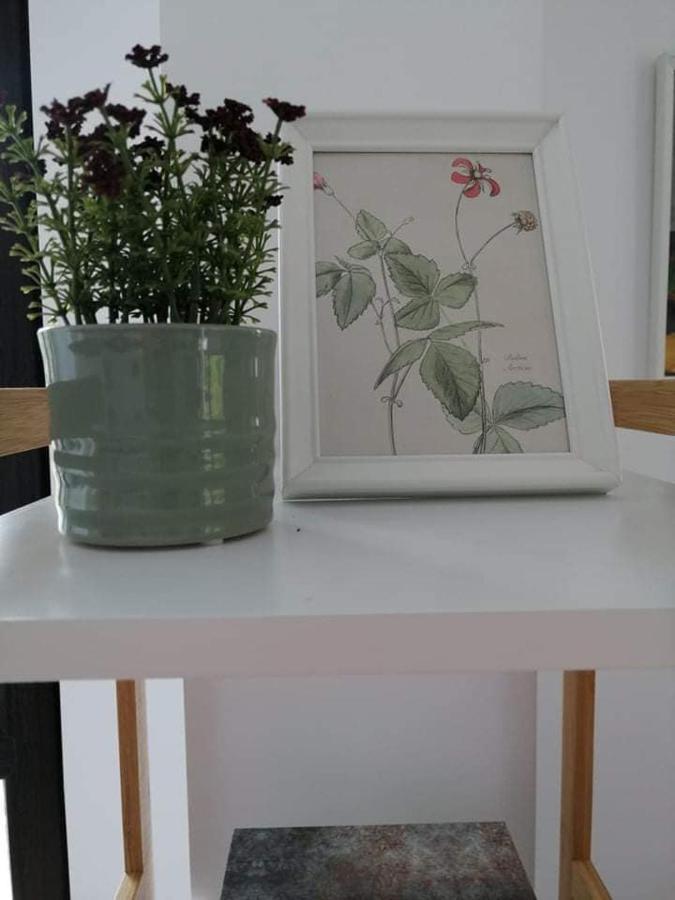 Belcara Apartment Buşteni Extérieur photo